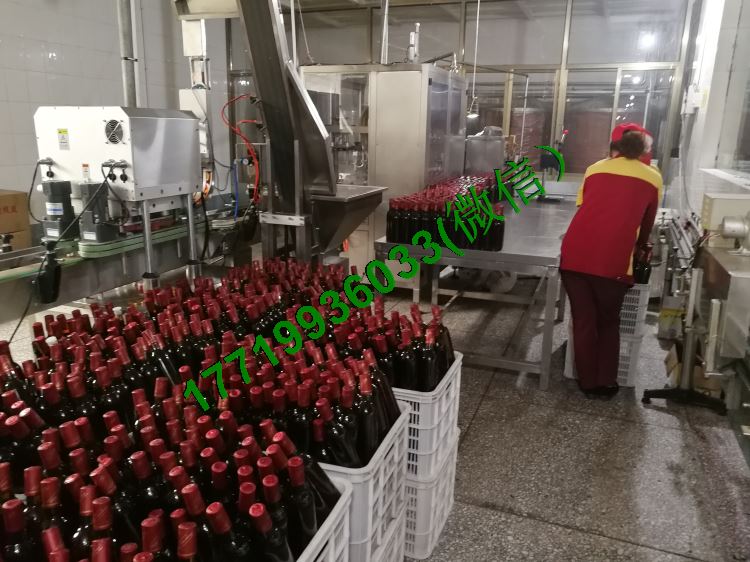 干果炒貨機(jī)多少錢.jpg
