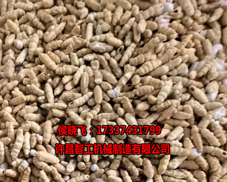 7.15日，客戶試機(jī)炒制糯米